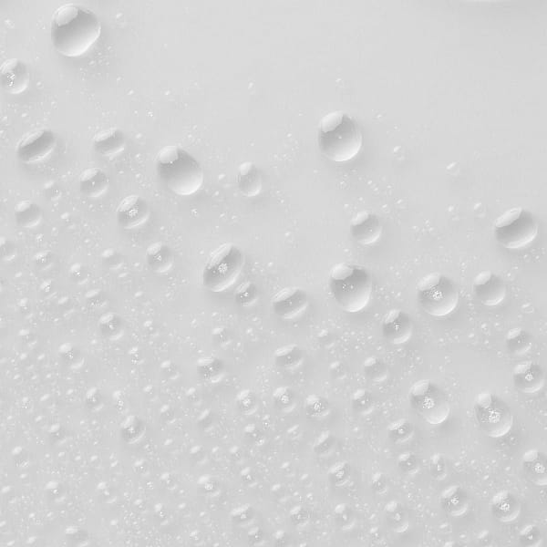 2026/03/1000110328.jpg 2026/03/1000110328.jpg