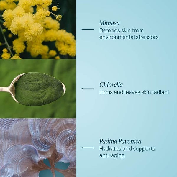 1000036074.jpg 1000036074.jpg