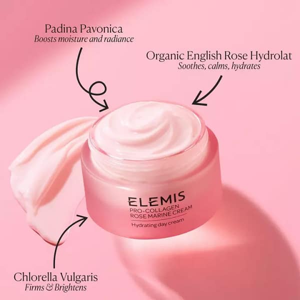 2605532_alt03 2605532_alt03