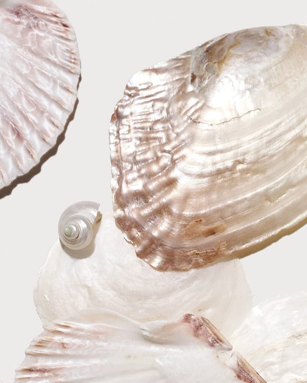 2026/03/1000110565-1.jpg 2026/03/1000110565-1.jpg